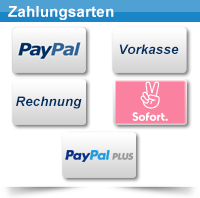 Paypal-Vorkasse-Rechnung-Sofort-PaypalPlus